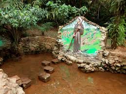 Fuente “Ycuá Bolaños (manantial de Bolaños)
